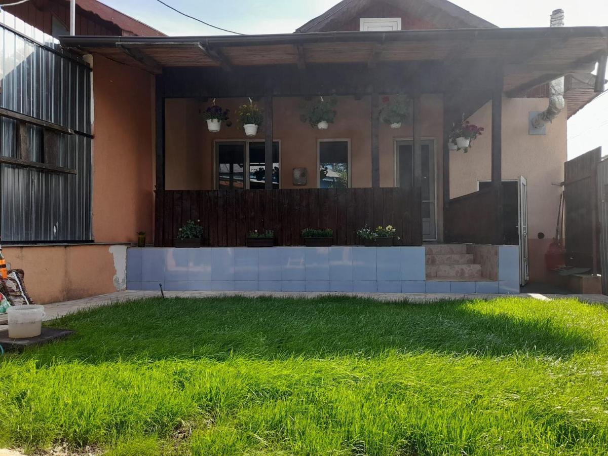 Central City House Тулча Экстерьер фото
